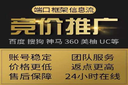 某电商平台的SEM推广实践与效果展示